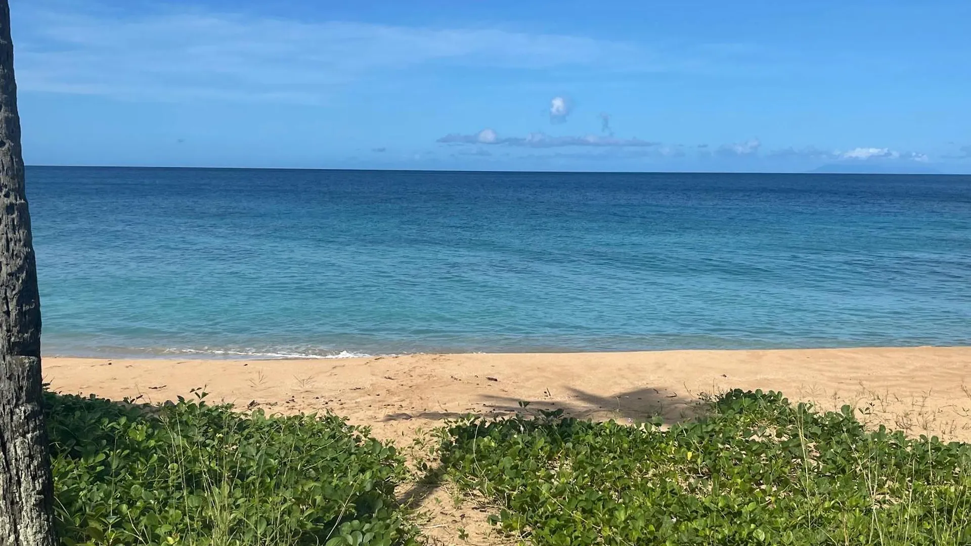 Apartment Domaine Entre Ciel & Mer Logement Bel Bo Acces Mer Deshaies Guadeloupe